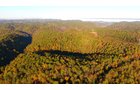 Property photo 26 - LAND AUCTION - 1,682+/- ACRES OFFERED IN 17 TRACTS IN LEWIS & GREENUP COUNTIES, KENTUCKY